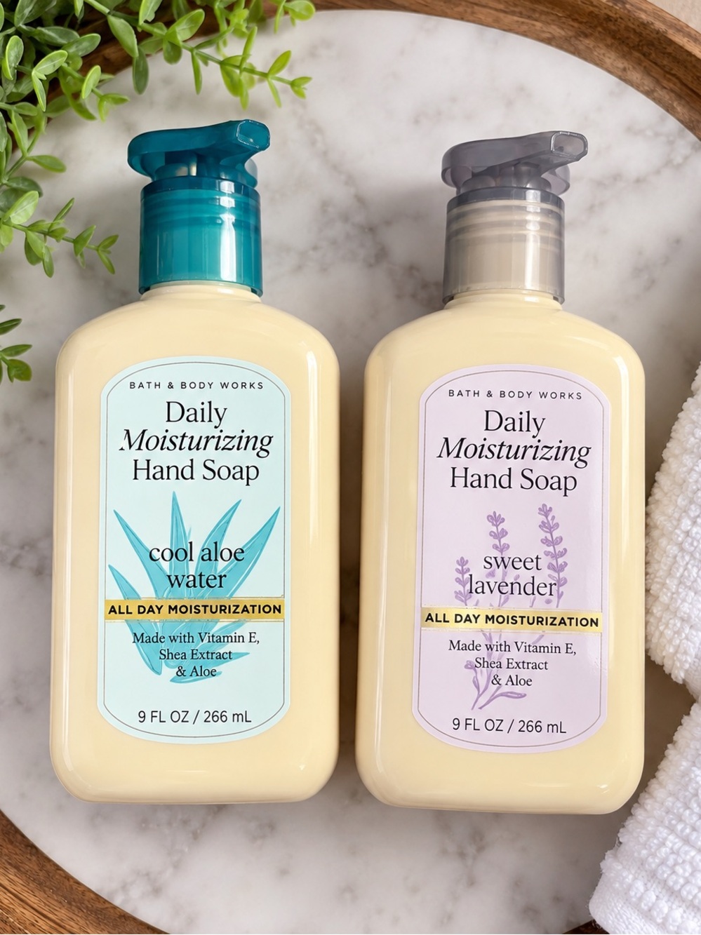 Soap Bundle